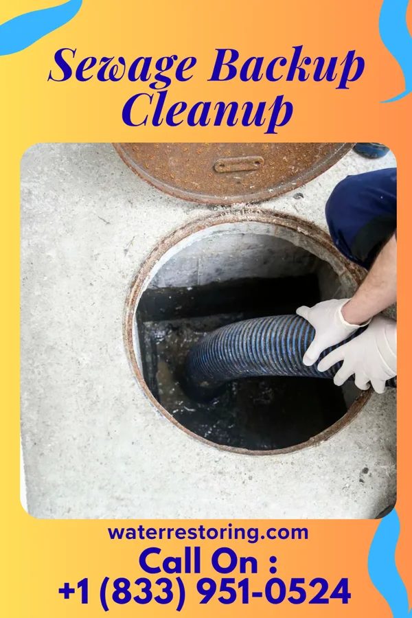 Sewage Backup Cleanup in Corydon, KY